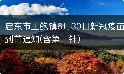 启东市王鲍镇6月30日新冠疫苗到苗通知(含第一针)
