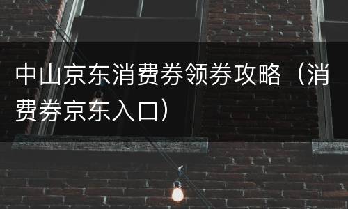 中山京东消费券领券攻略（消费券京东入口）