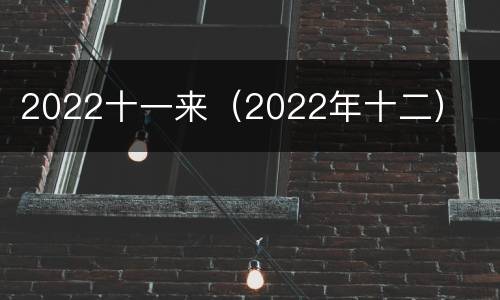 2022十一来（2022年十二）