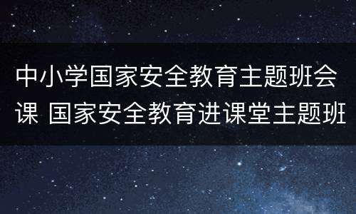 中小学国家安全教育主题班会课 国家安全教育进课堂主题班会
