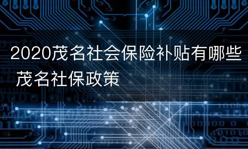 2020茂名社会保险补贴有哪些 茂名社保政策