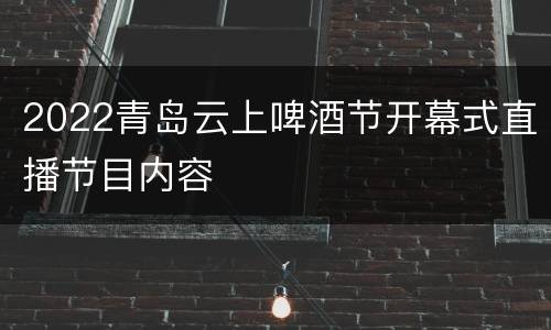2022青岛云上啤酒节开幕式直播节目内容