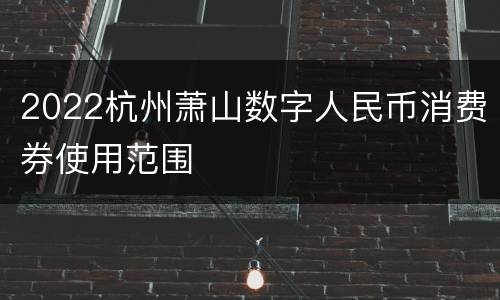2022杭州萧山数字人民币消费券使用范围
