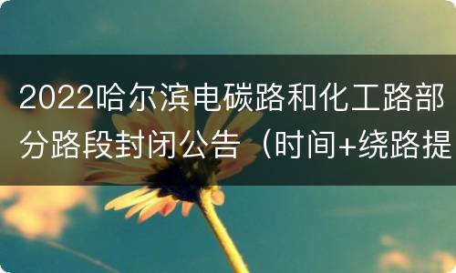 2022哈尔滨电碳路和化工路部分路段封闭公告（时间+绕路提示）