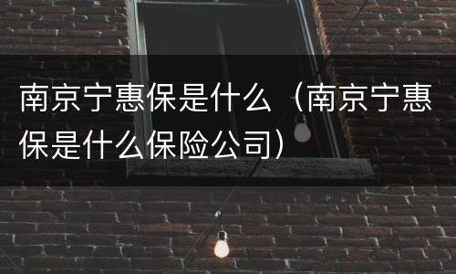 南京宁惠保是什么（南京宁惠保是什么保险公司）