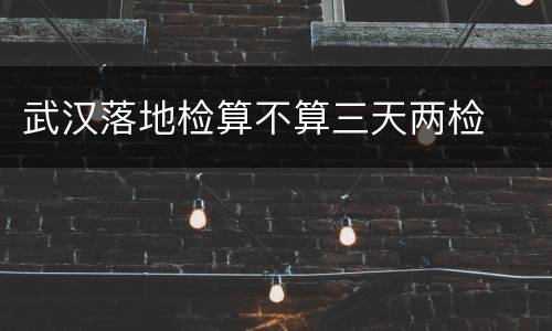 武汉落地检算不算三天两检