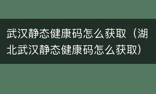 武汉静态健康码怎么获取（湖北武汉静态健康码怎么获取）