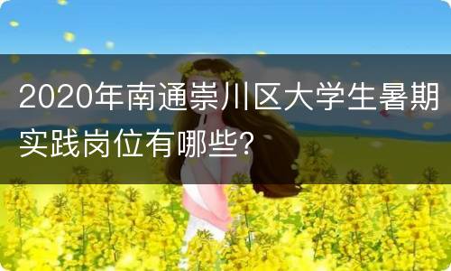2020年南通崇川区大学生暑期实践岗位有哪些？