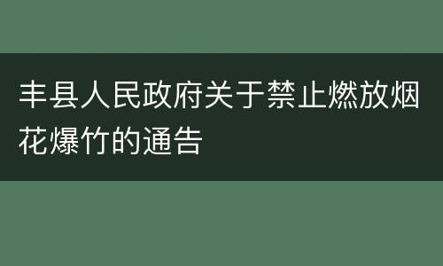 丰县人民政府关于禁止燃放烟花爆竹的通告