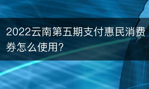 2022云南第五期支付惠民消费券怎么使用?