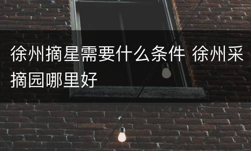 徐州摘星需要什么条件 徐州采摘园哪里好