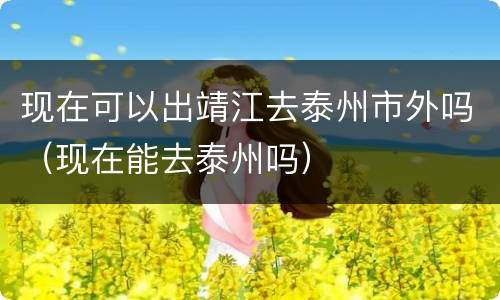 现在可以出靖江去泰州市外吗（现在能去泰州吗）
