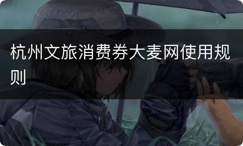 杭州文旅消费券大麦网使用规则