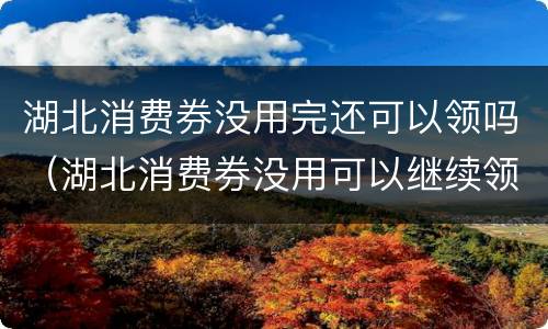湖北消费券没用完还可以领吗（湖北消费券没用可以继续领吗）