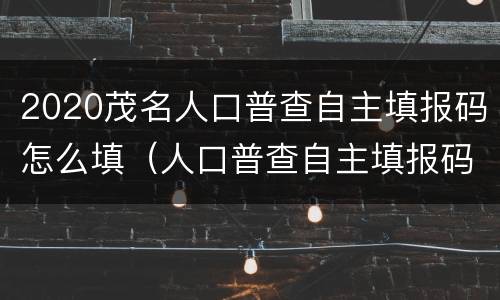 2020茂名人口普查自主填报码怎么填（人口普查自主填报码是哪12位数）