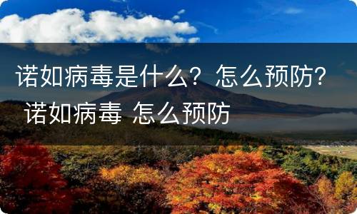 诺如病毒是什么？怎么预防？ 诺如病毒 怎么预防