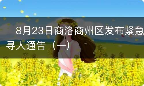 ​8月23日商洛商州区发布紧急寻人通告（一）