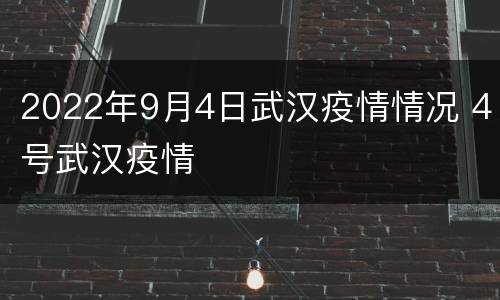2022年9月4日武汉疫情情况 4号武汉疫情