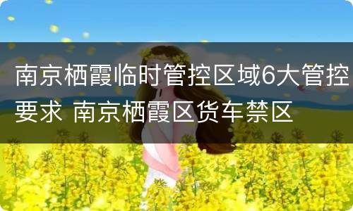 南京栖霞临时管控区域6大管控要求 南京栖霞区货车禁区