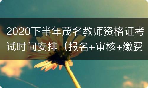 2020下半年茂名教师资格证考试时间安排（报名+审核+缴费+准考证打印）