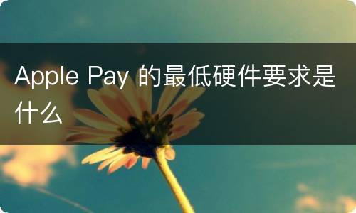Apple Pay 的最低硬件要求是什么