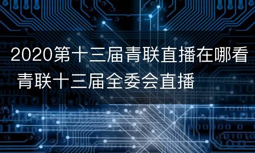 2020第十三届青联直播在哪看 青联十三届全委会直播