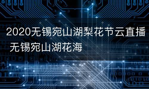 2020无锡宛山湖梨花节云直播 无锡宛山湖花海