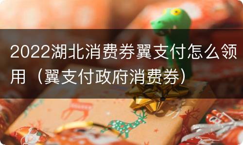 2022湖北消费券翼支付怎么领用（翼支付政府消费券）