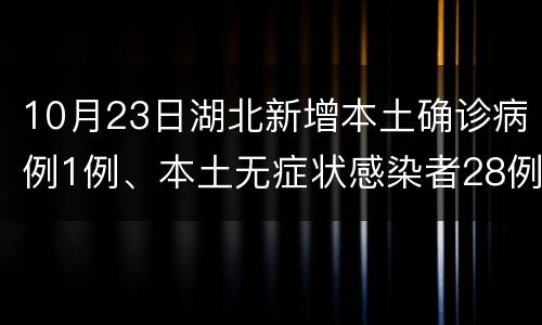 10月23日湖北新增本土确诊病例1例、本土无症状感染者28例