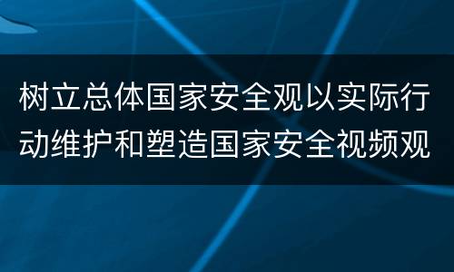 树立总体国家安全观以实际行动维护和塑造国家安全视频观看