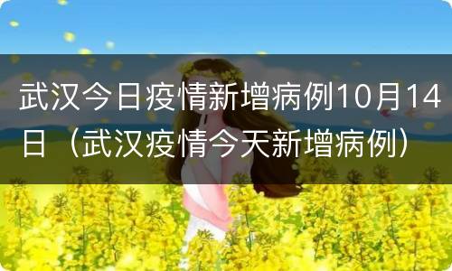 武汉今日疫情新增病例10月14日（武汉疫情今天新增病例）
