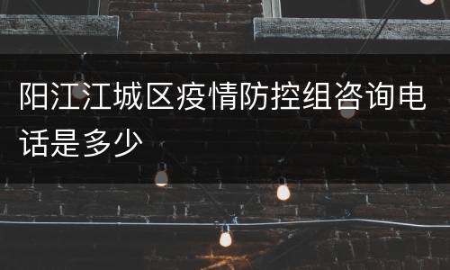 阳江江城区疫情防控组咨询电话是多少