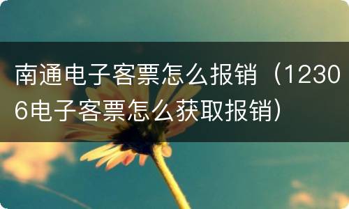 南通电子客票怎么报销（12306电子客票怎么获取报销）