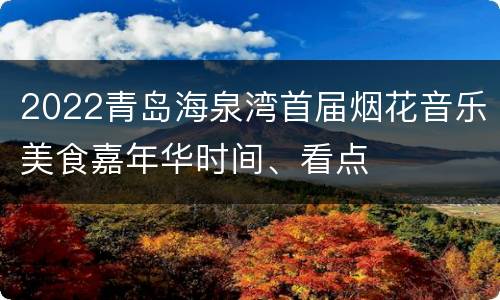 2022青岛海泉湾首届烟花音乐美食嘉年华时间、看点