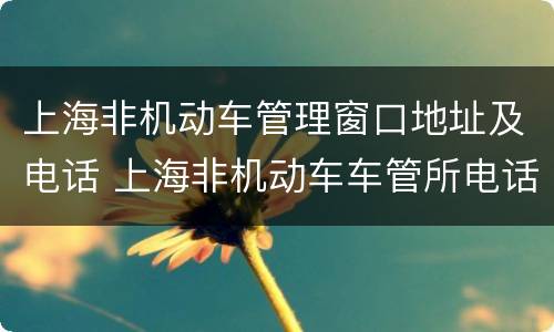 上海非机动车管理窗口地址及电话 上海非机动车车管所电话