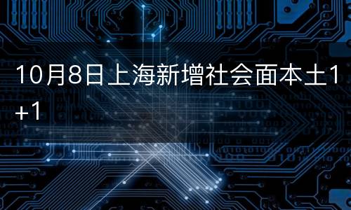10月8日上海新增社会面本土1+1
