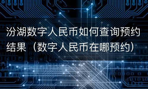 汾湖数字人民币如何查询预约结果（数字人民币在哪预约）