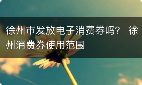 徐州市发放电子消费券吗？ 徐州消费券使用范围