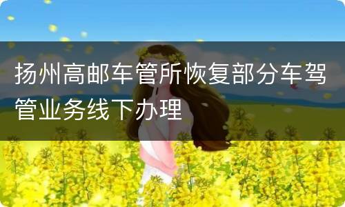 扬州高邮车管所恢复部分车驾管业务线下办理