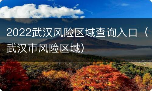 2022武汉风险区域查询入口（武汉市风险区域）