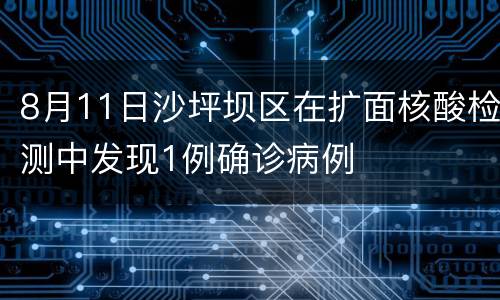 8月11日沙坪坝区在扩面核酸检测中发现1例确诊病例