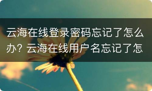 云海在线登录密码忘记了怎么办? 云海在线用户名忘记了怎么登录