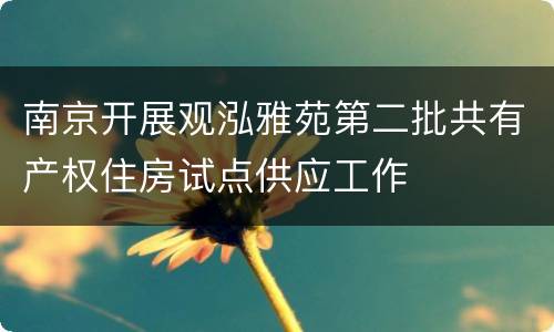 南京开展观泓雅苑第二批共有产权住房试点供应工作