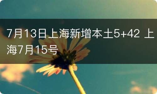 7月13日上海新增本土5+42 上海7月15号