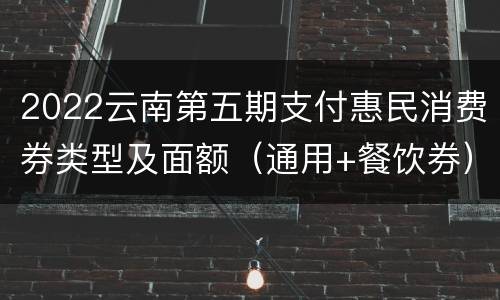 2022云南第五期支付惠民消费券类型及面额（通用+餐饮券）