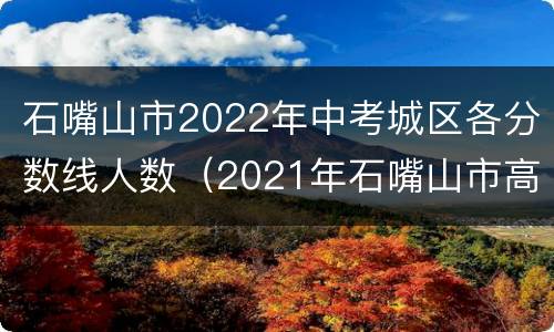 石嘴山市2022年中考城区各分数线人数（2021年石嘴山市高中录取分数线）