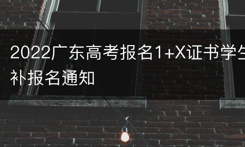 2022广东高考报名1+X证书学生补报名通知