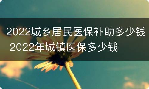 2022城乡居民医保补助多少钱 2022年城镇医保多少钱