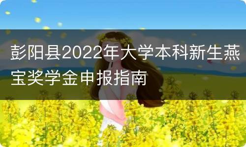彭阳县2022年大学本科新生燕宝奖学金申报指南