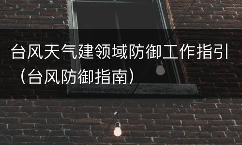 台风天气建领域防御工作指引（台风防御指南）